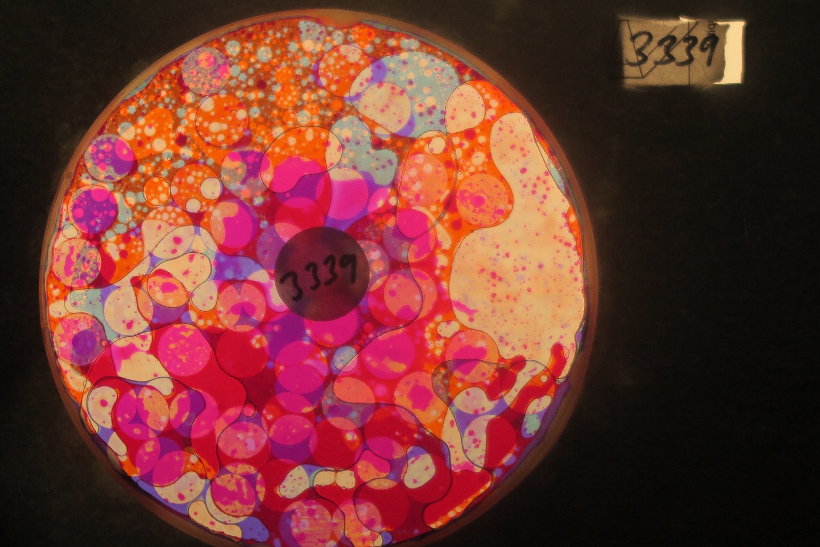 BV3339 bubble vision oil wheel